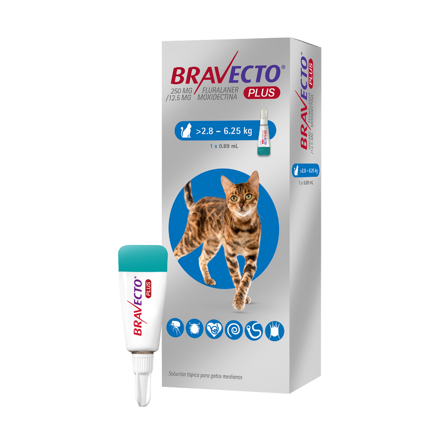 BRAVECTO PLUS GATO 250mg (2.8-6.25 kg) AZUL