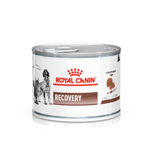 ROYAL CANIN LATA RECOVERY 195 GRAMOS