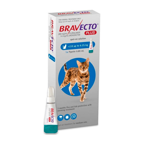 BRAVECTO PLUS GATO 250mg (2.8-6.25 kg) AZUL