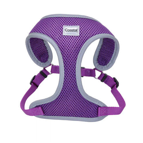 COASTAL PECHERA MORADA SMALL