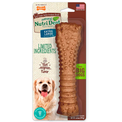 NYLABONE NUTRI DENT FILET MIGNON TEXTURED SOUPER 1CT CARD