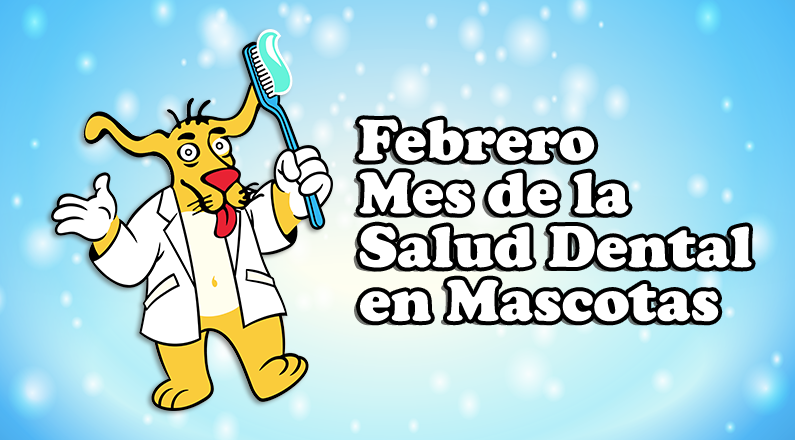 El Mes de la Salud Dental en Mascotas: Cuida la Sonrisa de tu Compañero