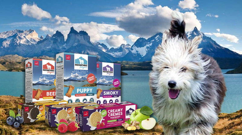 Indomitable Patagonia: El Poder de la Naturaleza en Cada Mordida