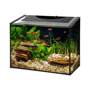 AQUEON KIT LED ASCENT BLACK 10 GAL