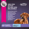 EUKANUBA PUPPY LARGE 3 KG