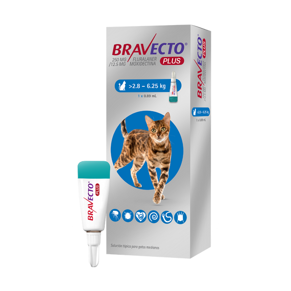BRAVECTO PLUS GATO 250mg (2.8-6.25 kg) AZUL