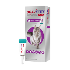 BRAVECTO PLUS GATO 500mg (6.25-12.5kg) MORADO
