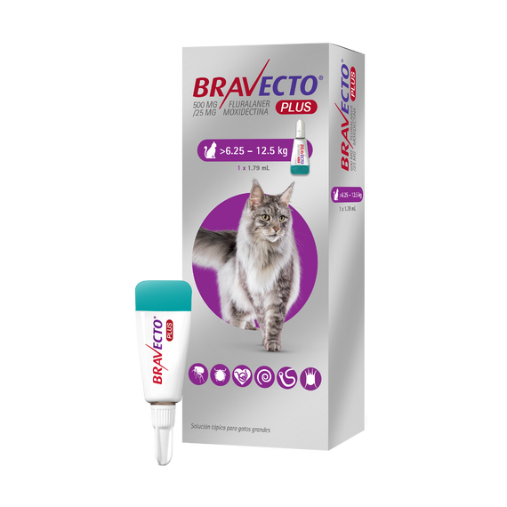 BRAVECTO PLUS GATO 500mg (6.25-12.5kg) MORADO