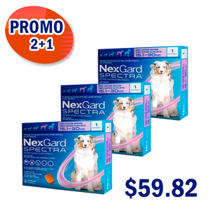 2+1 Nexgard Spectra L
