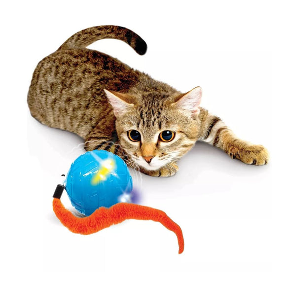 NERF 3.5IN NERF CAT WIGGLE LED BALL WITH TAT -BLUE/ORANGE