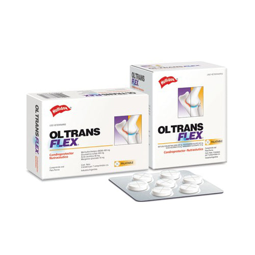 Ol Trans Flex Holliday Condroprotector 21 Comprimidos Venta Por Unidad