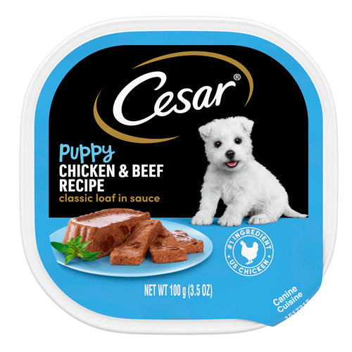 CESAR PUPPY WITH CHICKEN & BEEF IN JUICES 3.5 GR X 24