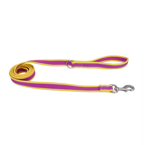 COASTAL LEASH PURPLE WITH YELLOW 6" 12926PMY06