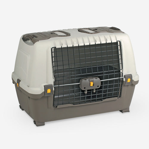 MPS2 SKUDO CAR 100 MIX COL S01100200