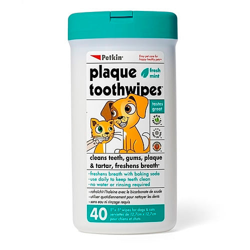 TOOTHWIPES-40CT PK5317