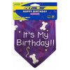 Pet Sport Happy Birthday Bandana